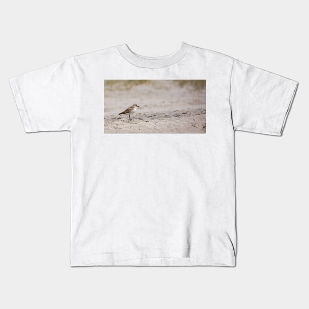 Dotterel, New Zealand. Kids T-Shirt by sma1050